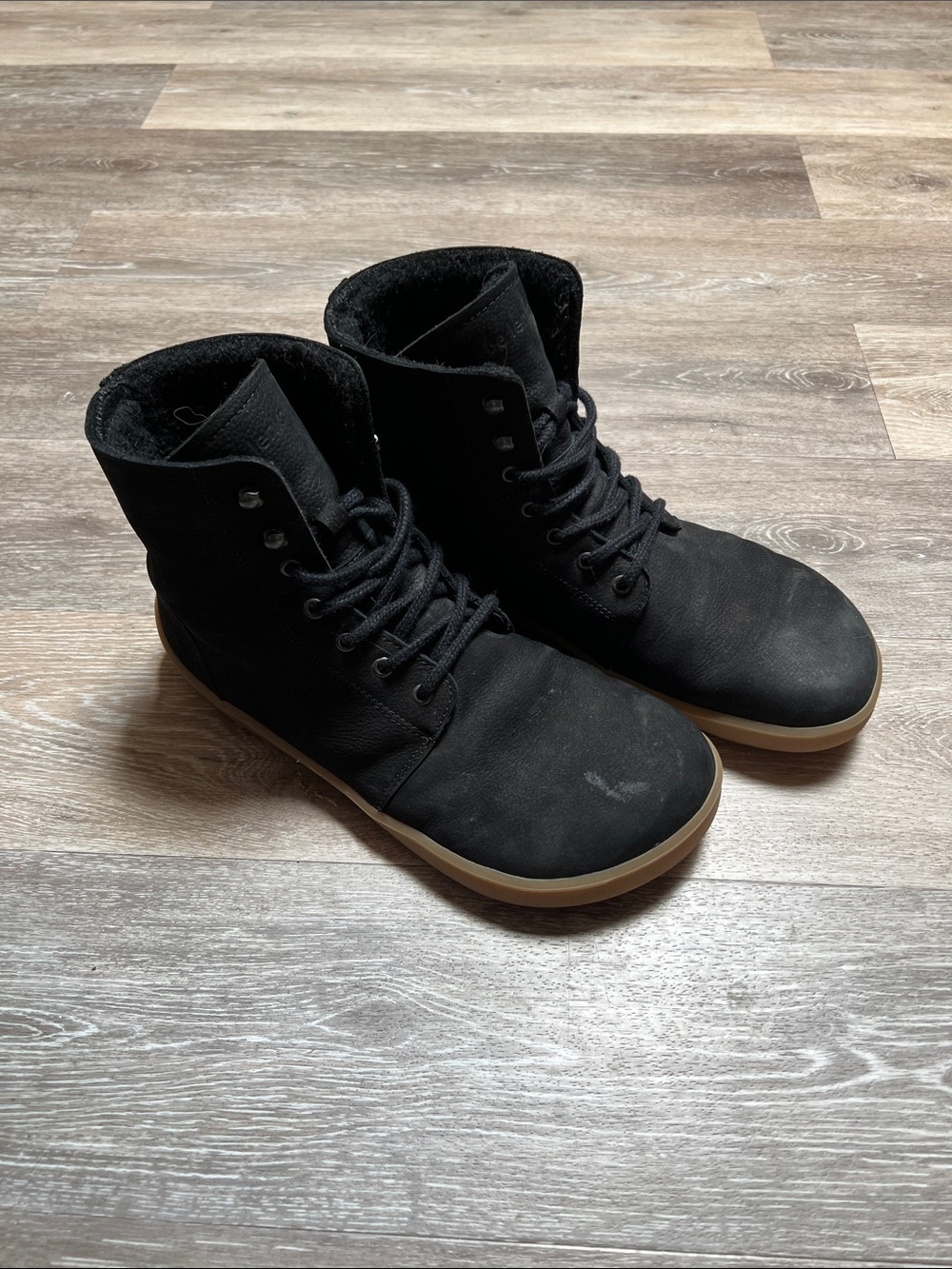 Men's Be Lenka Winter Lace-Up Boots | Black Suede with Tan Rubber Sole